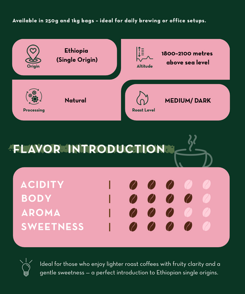 ETHIOPIA Dahab – Medium Roast Specialty Coffee