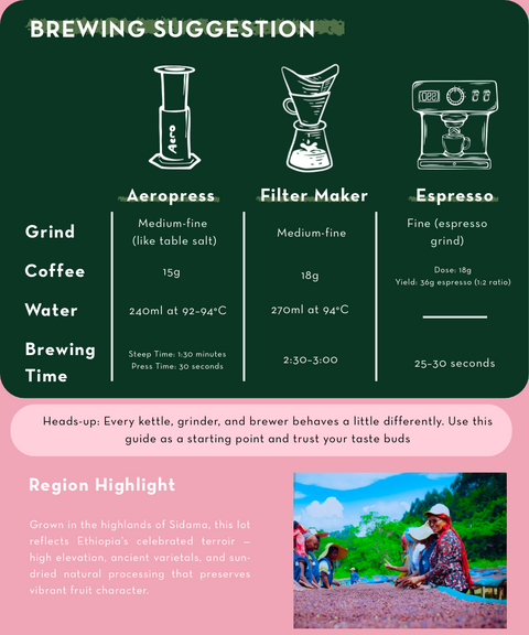 ETHIOPIA Dahab – Medium Roast Specialty Coffee