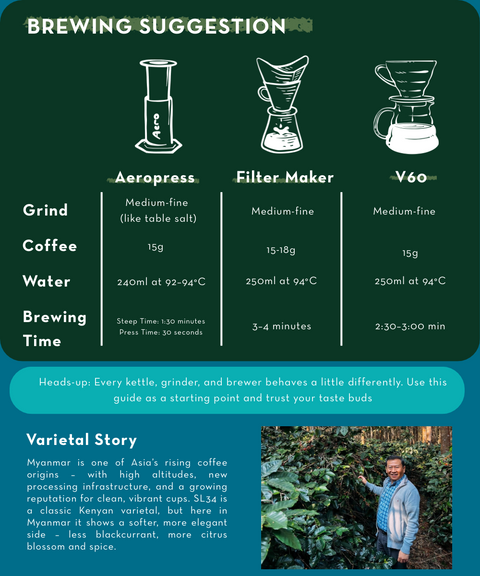 Myanmar Khar Taw Hmi – Light Roast, Washed Process