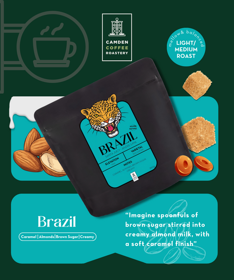 Aeropress 🔫 Green / Brazil Pulped Natural (£44.5 RRP)