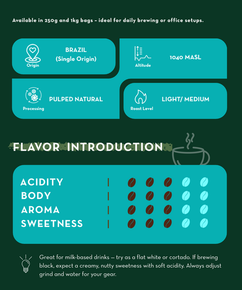 Filter Bundle - Brazil l + Myanmar  - 2 x 250g - Free Shipping 🚀