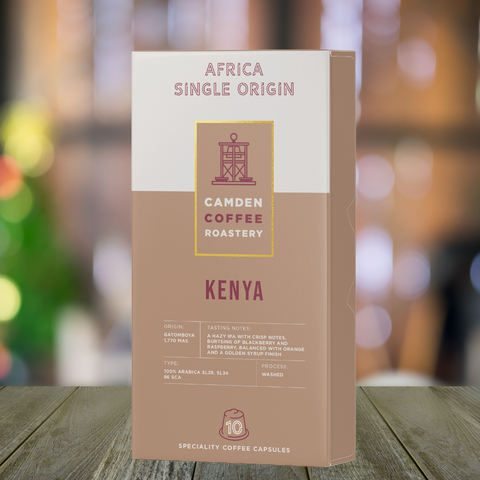 Opal One Bundle - Camden Coffee