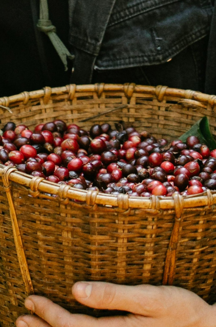 Camden Market - Camden Coffee