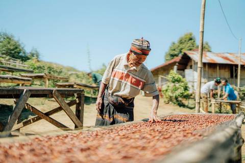 Indonesia Sumatra Mandheling – Wet-Hulled Gayo Highlands Coffee