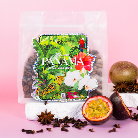 Panama Natural Pacamara - Horqueta