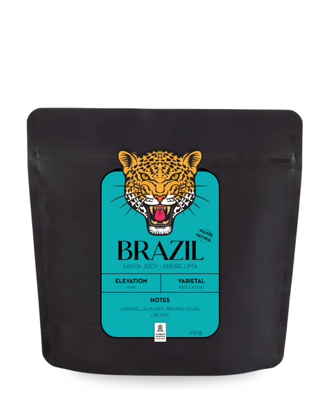 Brazil - Santa Jucy