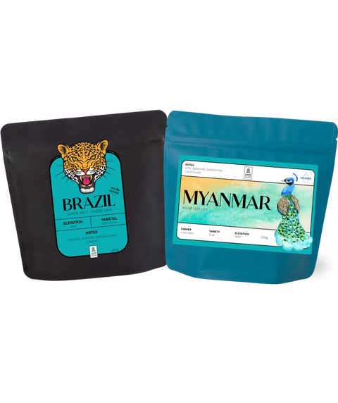Filter Bundle - Brazil l + Myanmar  - 2 x 125g - Free Shipping 🚀