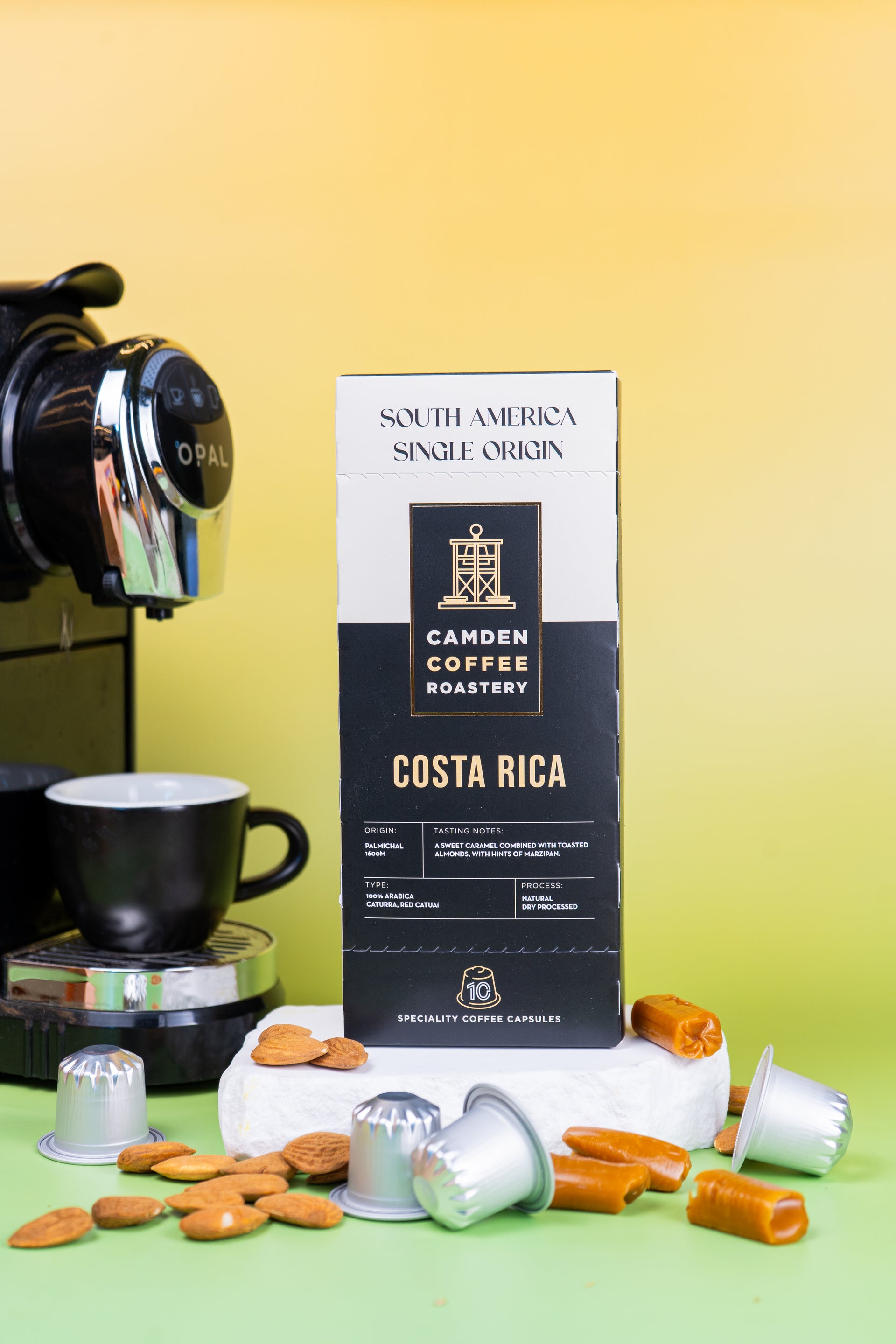 Costa Rica Finca Monte Alto
