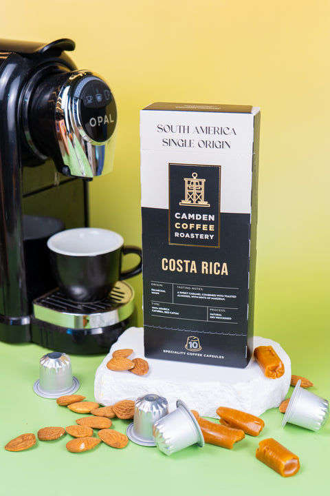 Opal Machine & Capsule Bundle