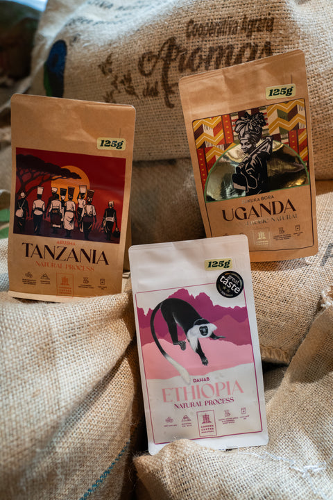 Africa Coffee Bundle - Taste our Africa Single Origins