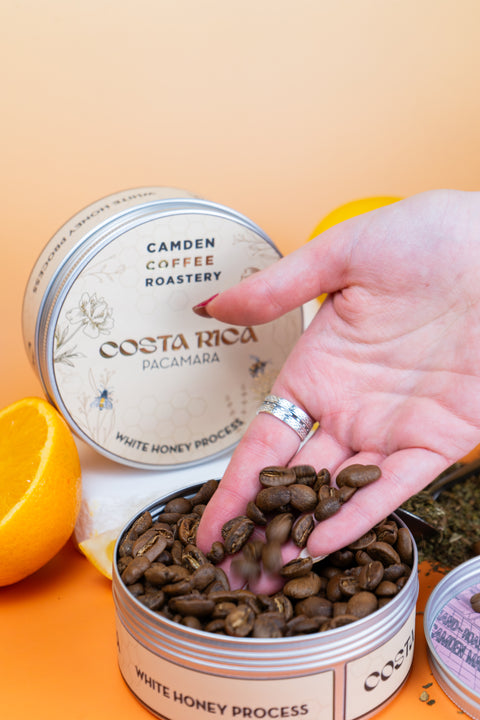 Costa Rica - White Honey - Pacamara
