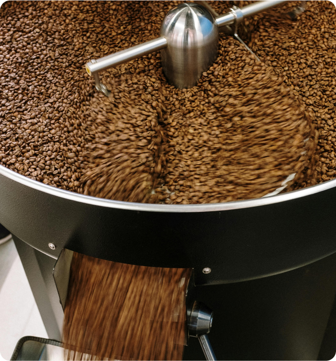 Coffee Roasting 101 Everything You NEED to Know