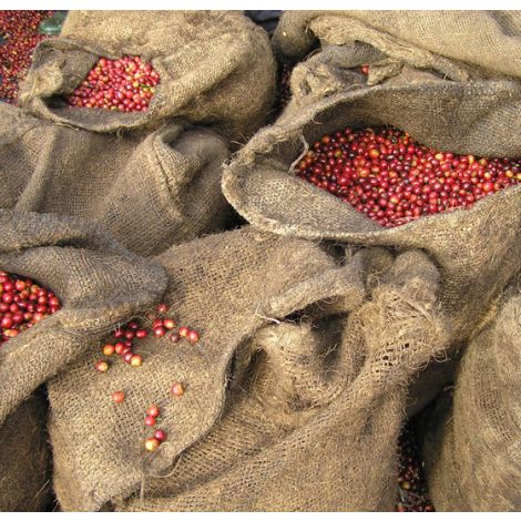 Tanzania Arusha Single Origin Coffee Beans