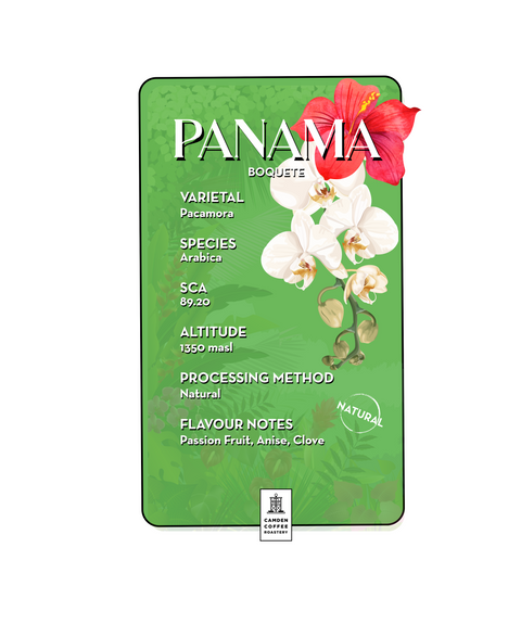 Panama - Horqueta Lot 3 Pacamara Natural 🌺 SCA score 89.25