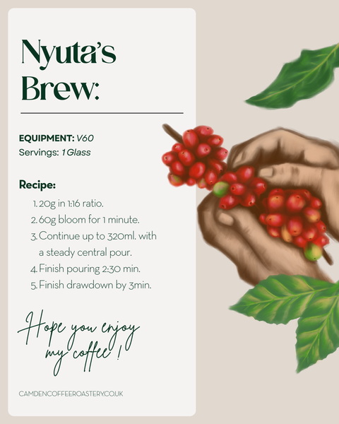Colombian Coffee Beans – Nabusimake Single Origin | Washed