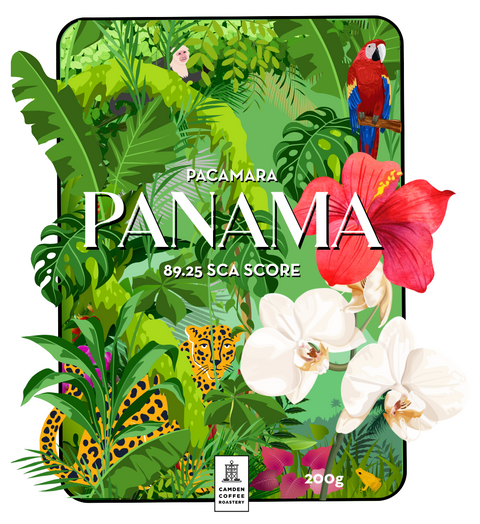 Panama - Horqueta Lot 3 Pacamara Natural 🌺 SCA score 89.25